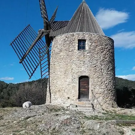 Alizé *