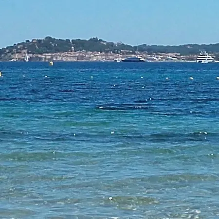 Alizé *