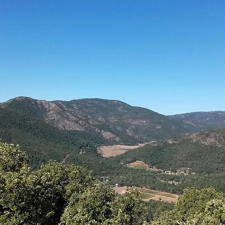 Alizé * Grimaud