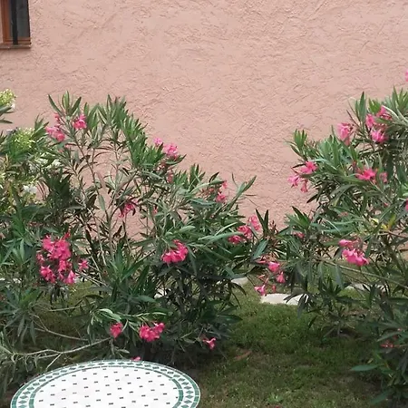 Alizé Appartement Grimaud