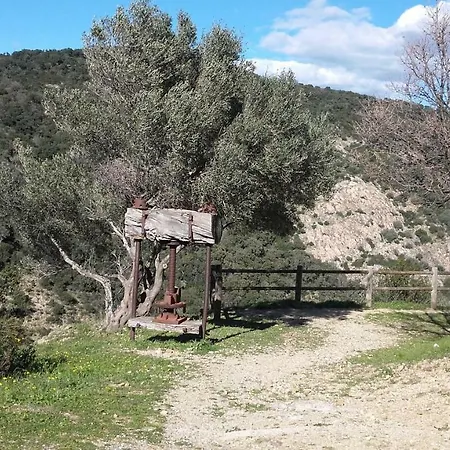 Appartement Alizé Grimaud