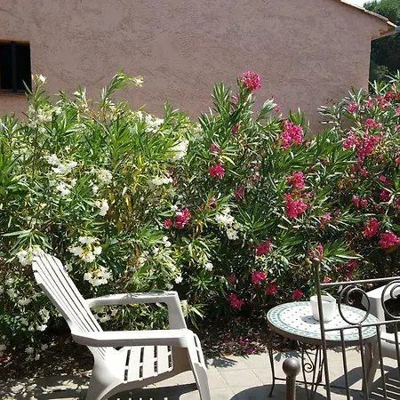 Appartement Alizé